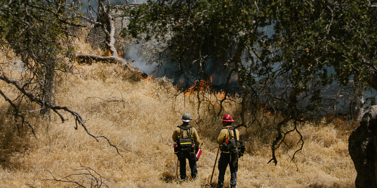 Los Angeles Wildfire Relief Resource Guide