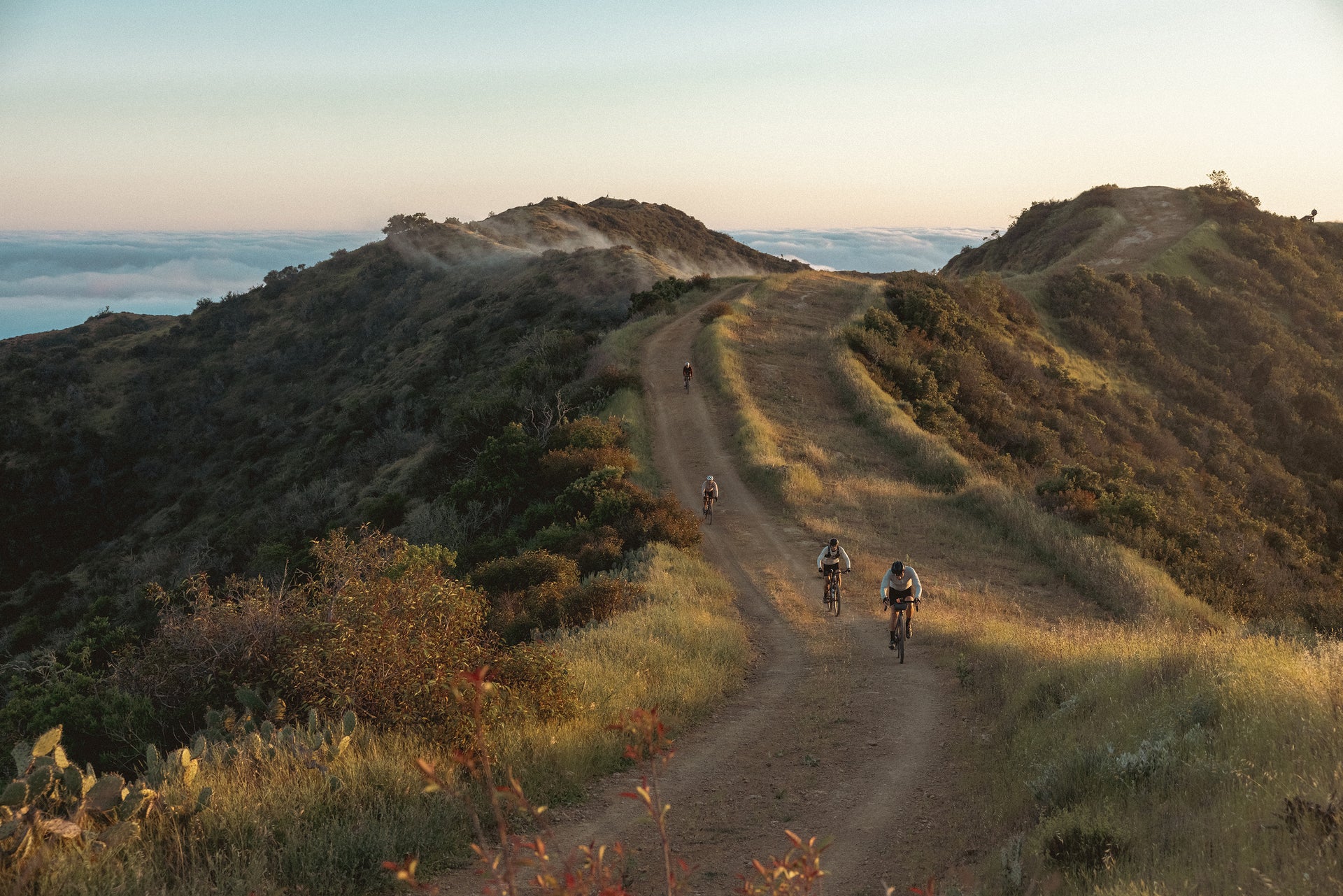 Guide to Bikepacking Catalina Island with Gemma Bachmann