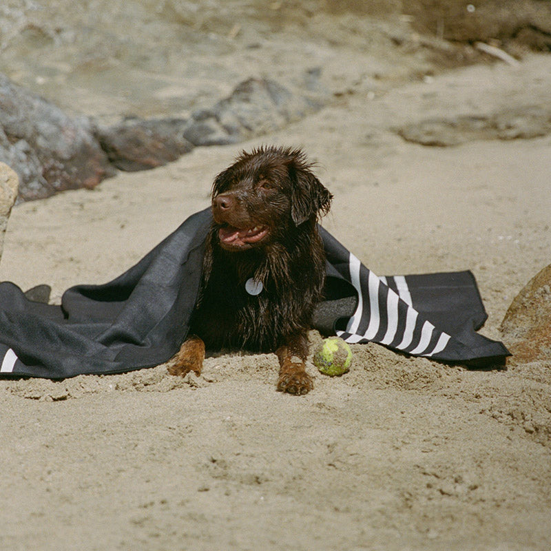 Original Towel: Poolside Black